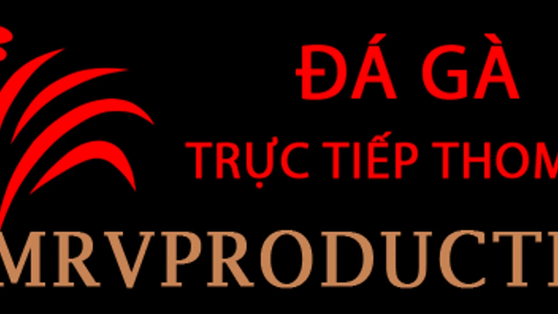 Video demo Baccarat và luật chơi