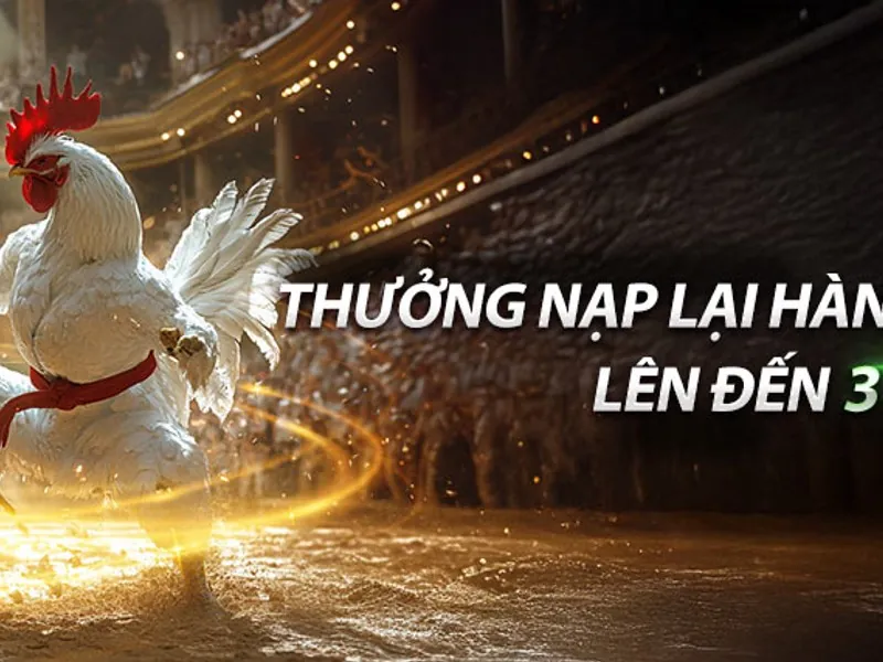 Ưu đãi nạp lại hàng ngày i9bet141