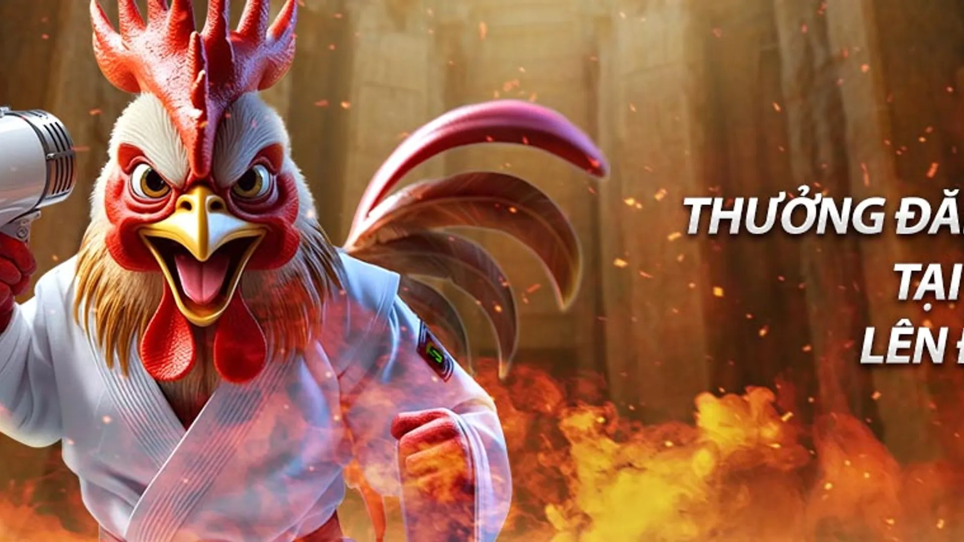 Tổng quan về các chính sách thưởng và hoàn trả của i9bet141